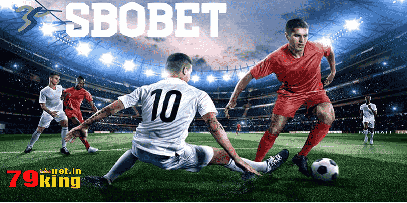 Sbobet – Sảnh Cược Thu Hút Đông Đảo Thành Viên 79king